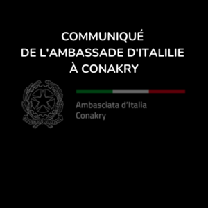 COMUNICATO STAMPA – Giornata della ricerca italiana 2023. Conferenza online « Intelligenza Artificiale: un tema di comune interesse per sviluppare la cooperazione nell’educazione superiore e scientifica tra Africa e Italia »